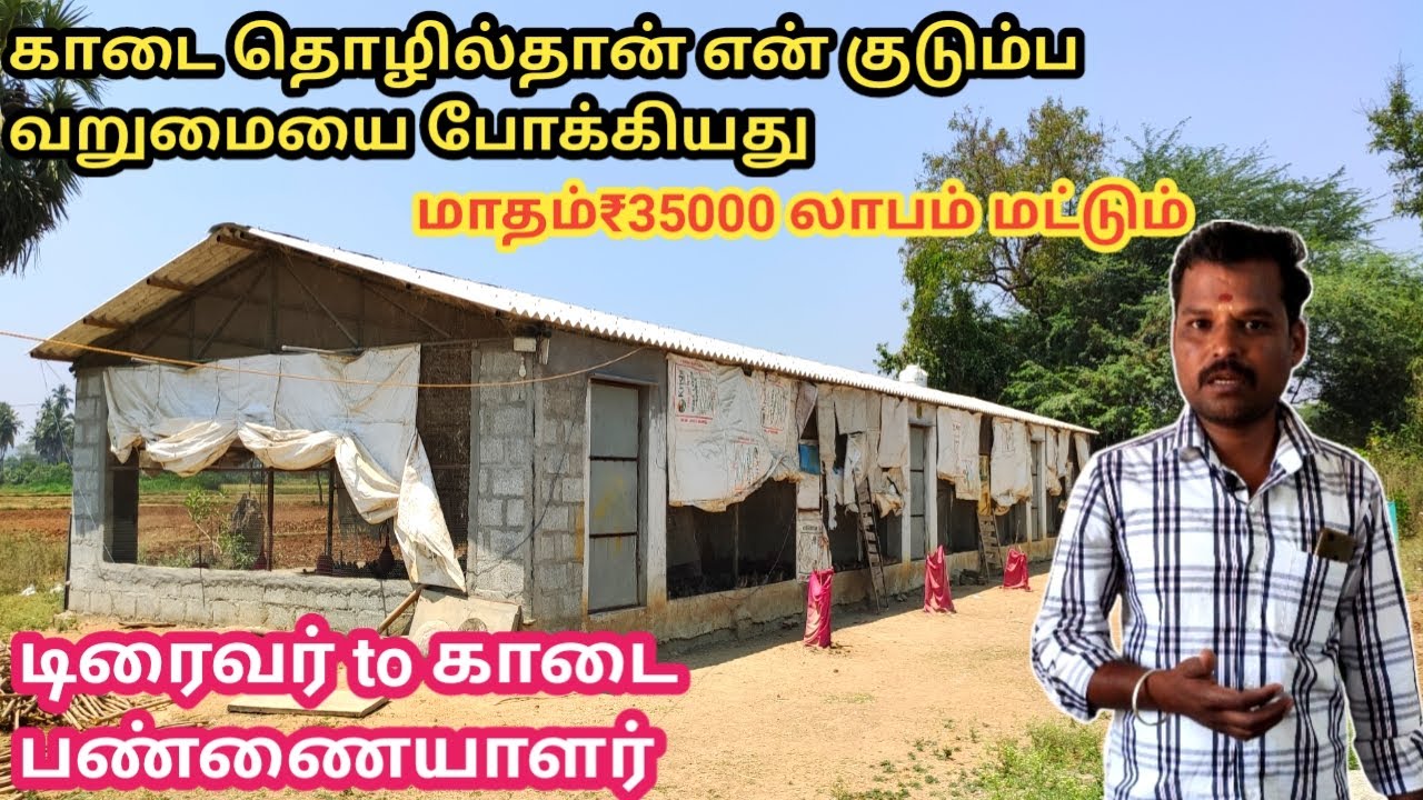 குடும்ப வறுமையை போக்கிய காடை பண்ணை| kaadai farming