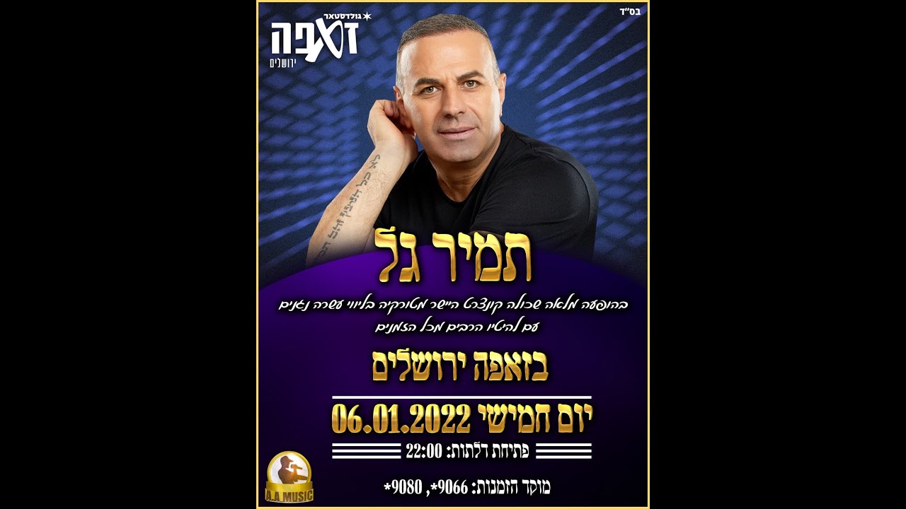 תמיר גל   דמייני