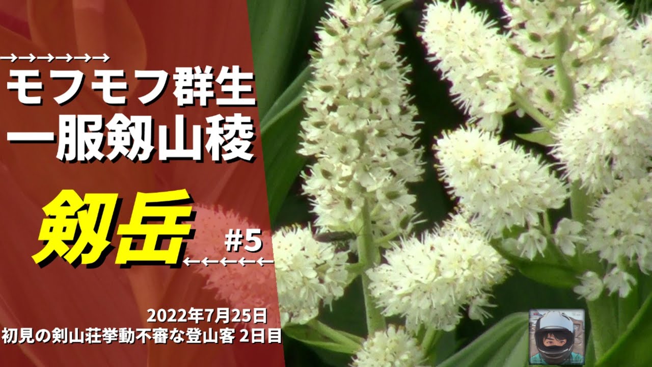 剱岳【北アルプス】#5 一服剱から剣山荘へ向かう!! 復路（ソロ・テント泊）絶景の眺望のお洒落喫茶でした！初めての剣山荘訪問編【生ビール】2022年7月25日 二日目の4 曇り［HD］