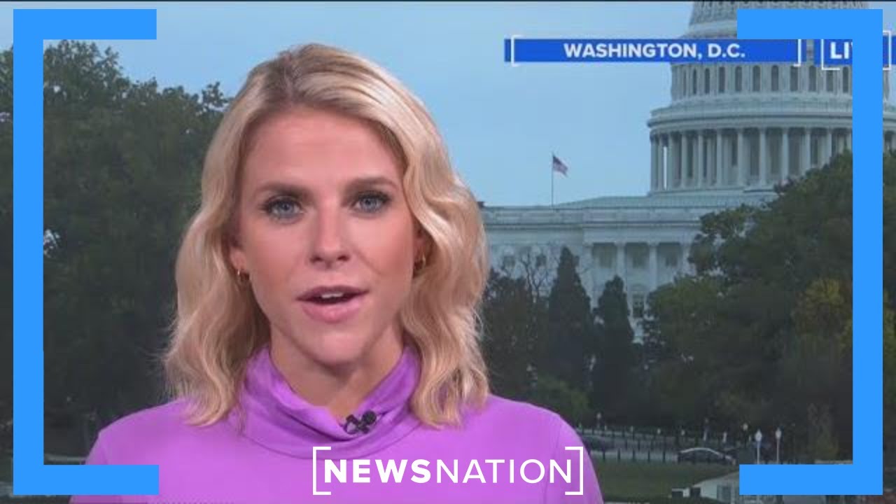 Election polling: Can we trust the numbers? | Rush Hour