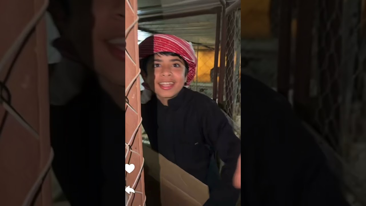 في حيوان جديد في المزرعه / سنابات ابو ناصر