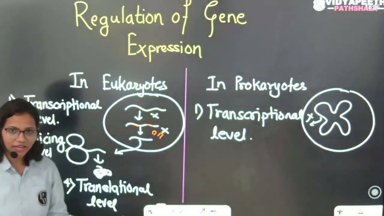 Regulation of Gene Expression | NEET | By  Priyanka