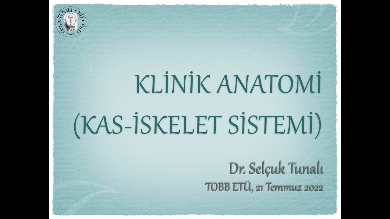 Klinik Anatomi Kas-İskelet Sistemi