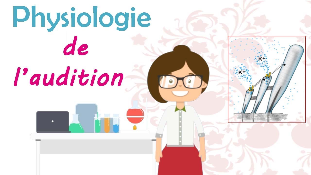Physiologie de l'audition - cours de 2 &egrave;me ann&eacute;e m&eacute;decine