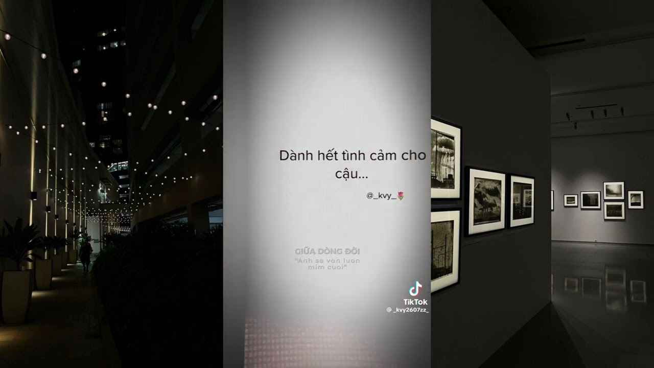 Tổng hợp những video tiktok story tâm trạng|#hết|#tiktok #xuhuong