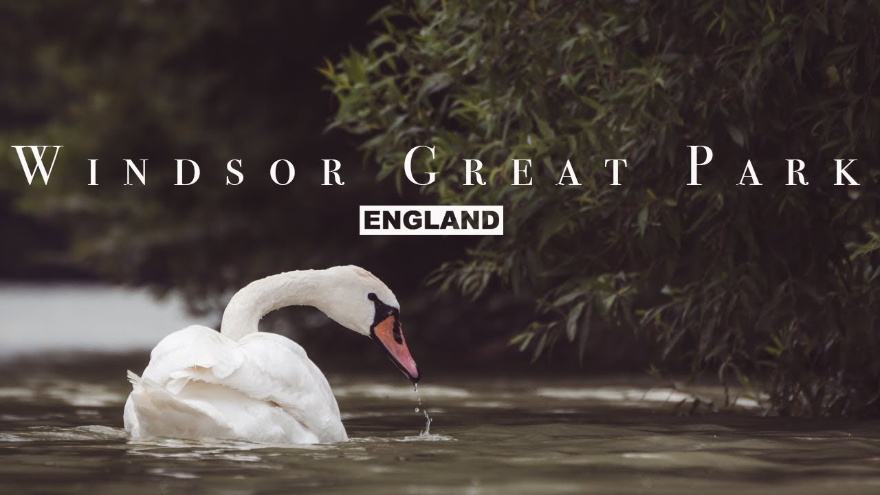 Windsor Great Park - Historical Ruins and Beautiful Gardens