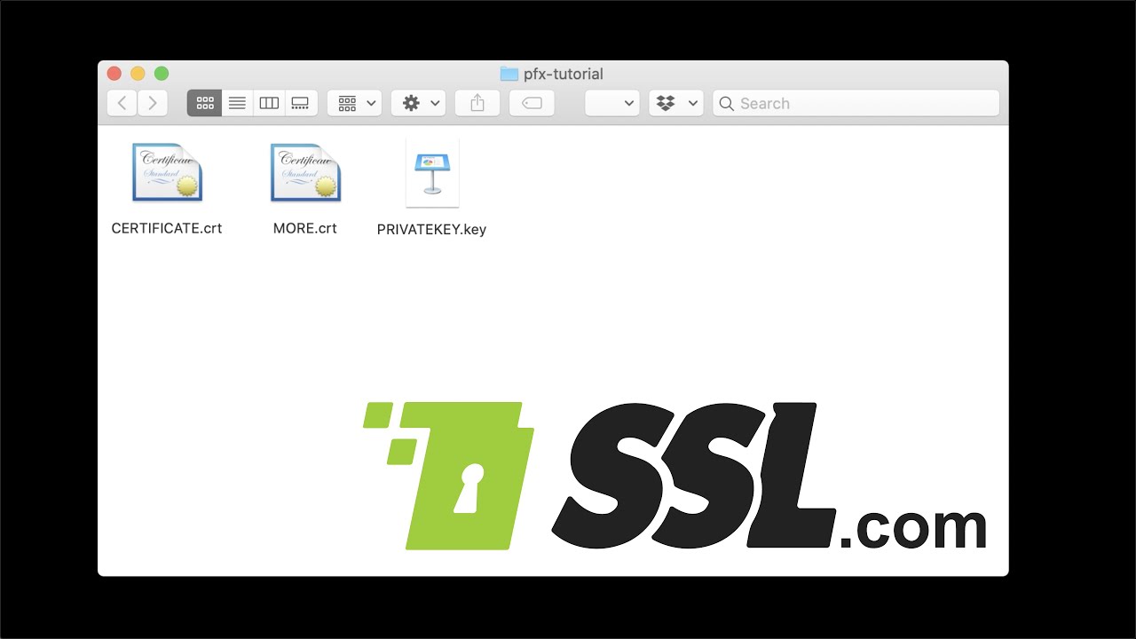 Создайте файл PKCS#12/PFX с помощью OpenSSL.