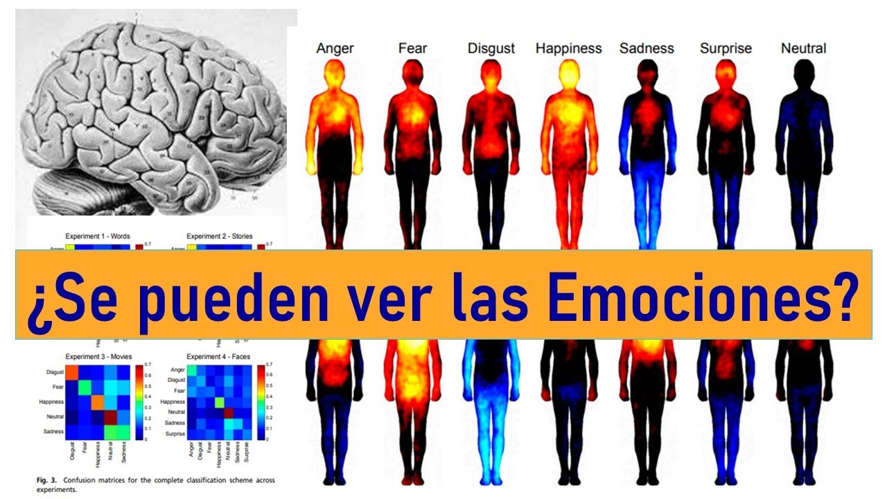 ¿Cómo se Localizan las Emociones en el Cuerpo? El Mapa de las Emociones Humanas