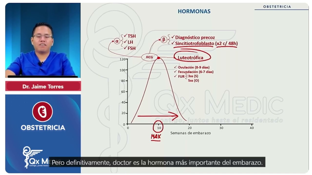 HORMONAS EN EL EMBARAZO