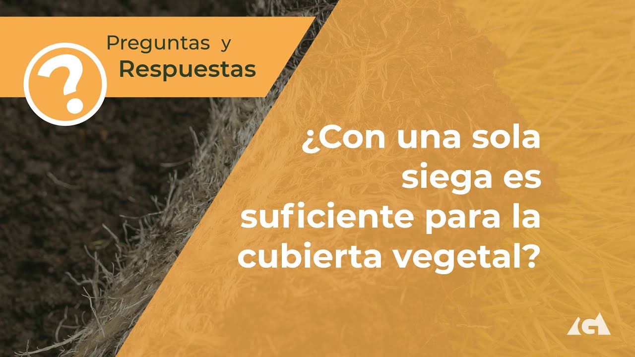 ¿Con Una Sola Siega es Suficiente para la Cubierta Vegetal?