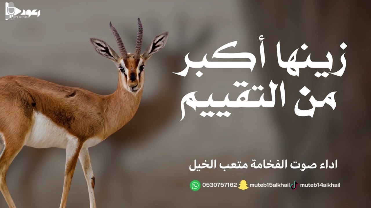 شيلة زينها اكبر من التقييم آداء صوت الفخامه متعب الخيل جديد2025حصرياً
