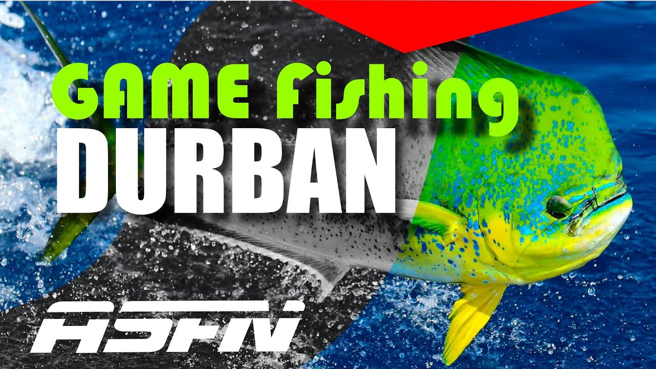 Game Fishing Durban with AQUA Nautical - [Team ASFN]