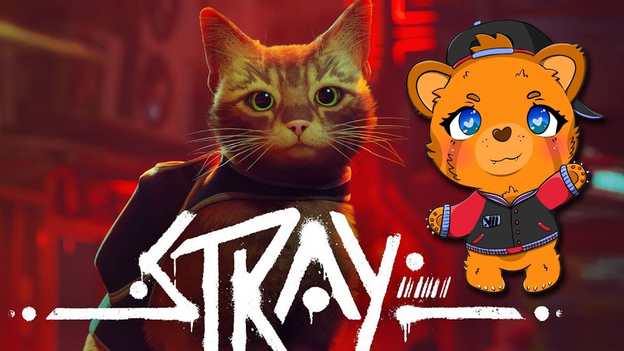 Stray Was PURRfect