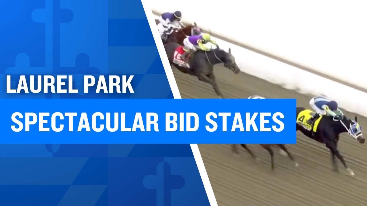 2026 $100,000 Spectacular Bid Stakes at Laurel Park