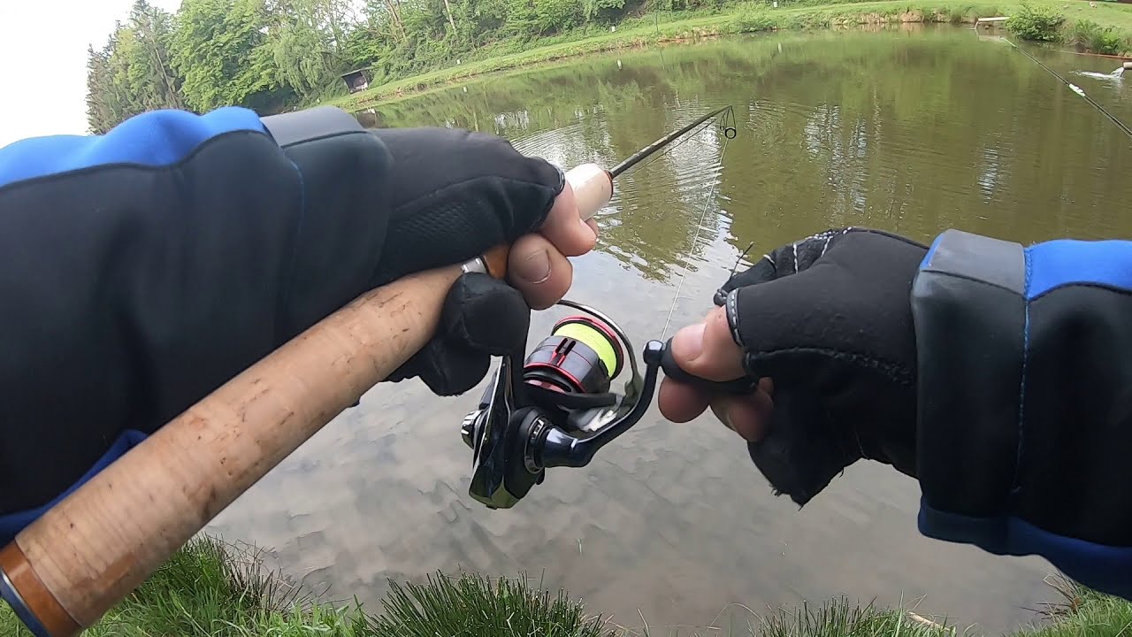 Angelpark Scheid. Trout Area Fishing. Forellenangeln. Ловля прудовой форели.