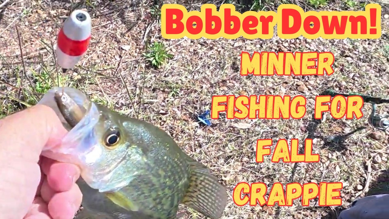 Bobber Down! Minner Fishing For Fall Crappie | Visit From the Game Warden | Heartbreak at the Bank