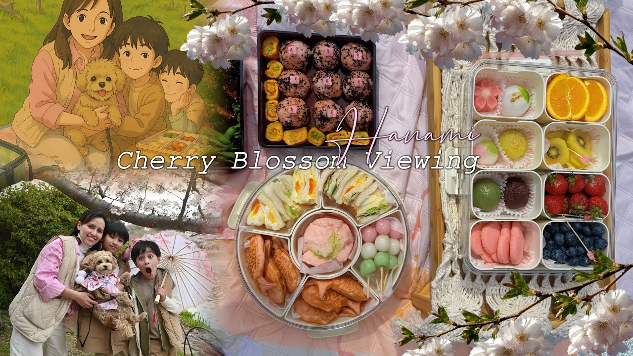 Hanami Bento| Cherry Blossom Viewing Hyōgo, Japan| Hanami 2025| First Hanami with our Maltipoo Dog