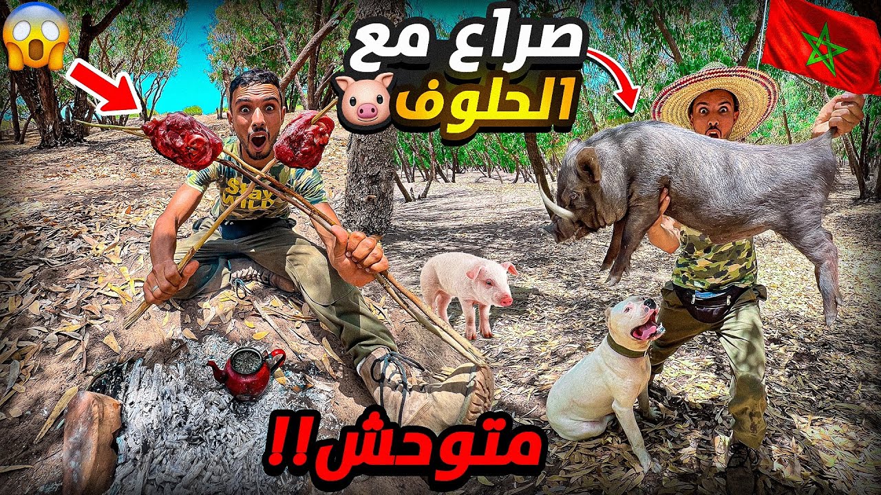 الحياة البرية:صراع مع لحلوف🐗يوم كامل في غابة مرعبة😱العيش الحر 🏕️
