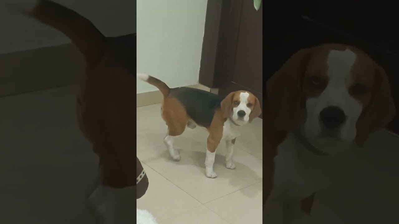 Time is too much for potty