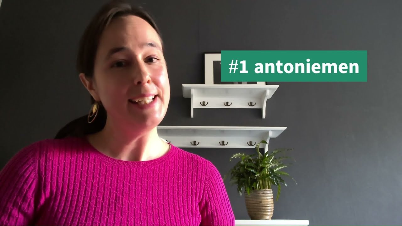 zakelijk Nederlands B1/B2 - antoniemen - Dutch opposites #learndutch #nt2 #nederlandsleren