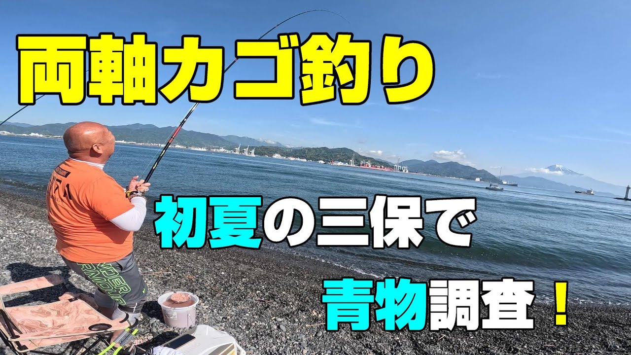 両軸カゴ釣り　「初夏の三保で青物調査！」