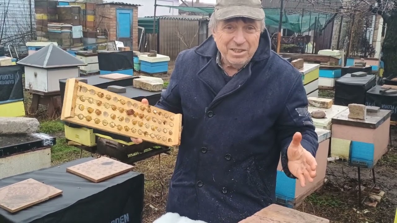 Альтернатива Канді