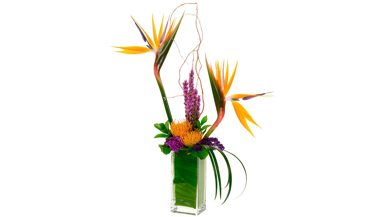 Triadic Bird of Paradise Design