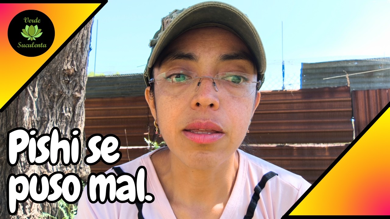 Esto es lo que ha pasado últimamente con mi pequeña Pishi. 🐱👀 (No es video de plantitas).