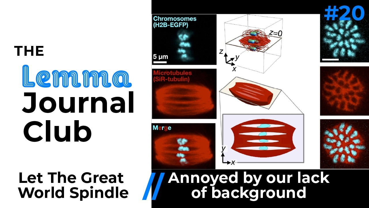 Let The Great World Spindle // Annoyed By Our Lack Of Background [20]