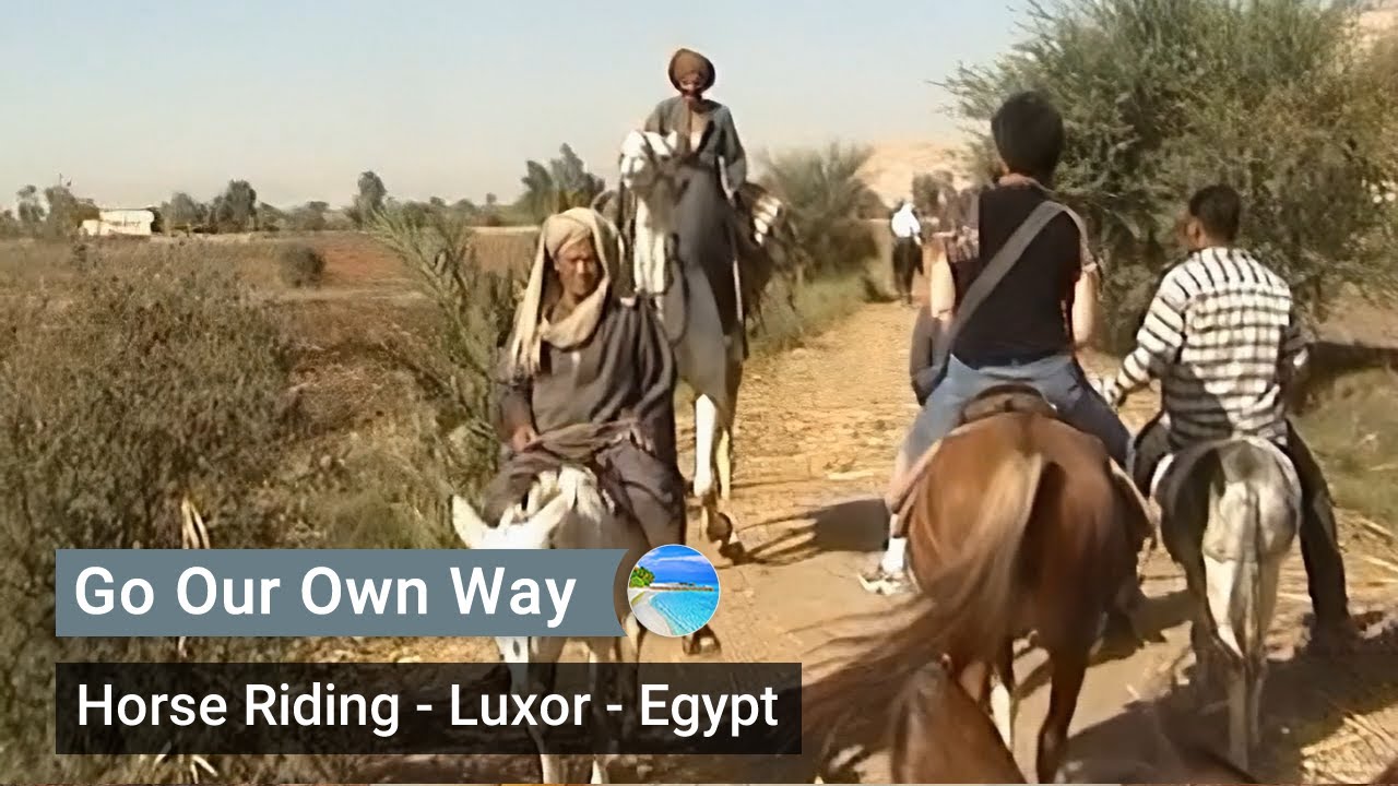 Horse riding on the west bank in Luxor - Egypt