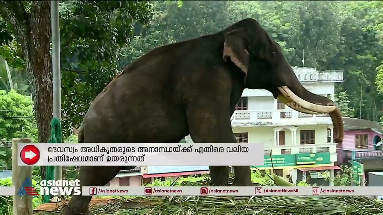 കാലിൽ വ്രണം ദുരിതപൂർണ്ണമായ അവസ്‌ഥയിൽ മലയാലപ്പുഴ രാജൻ | Malayalappuzha Rajan