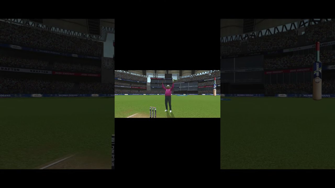India vs Australia real cricket