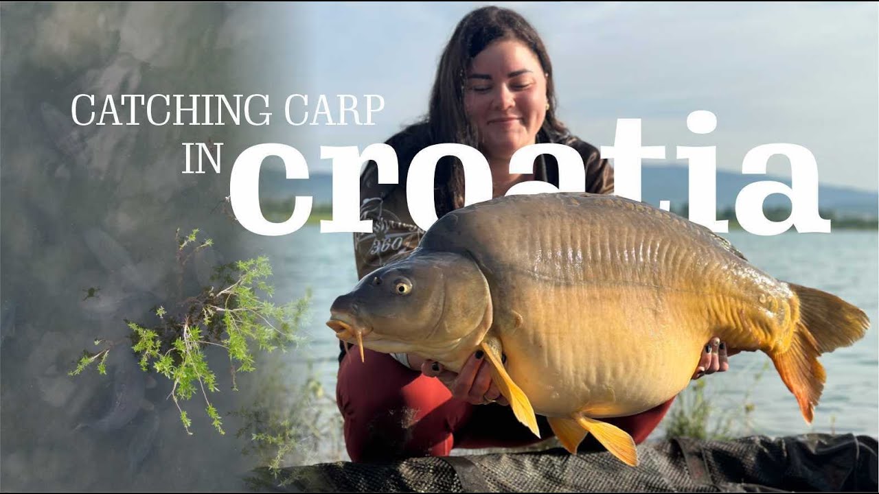 Croatia Big Carp Adventure - 2025
