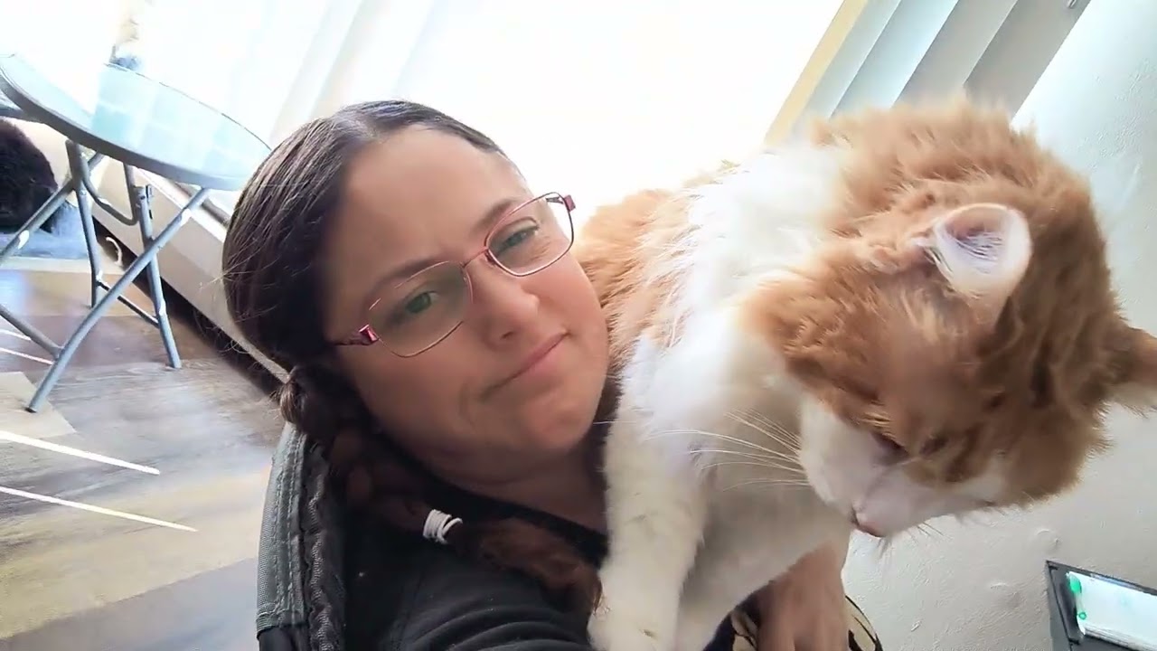 More cuddles and purrs 🫶