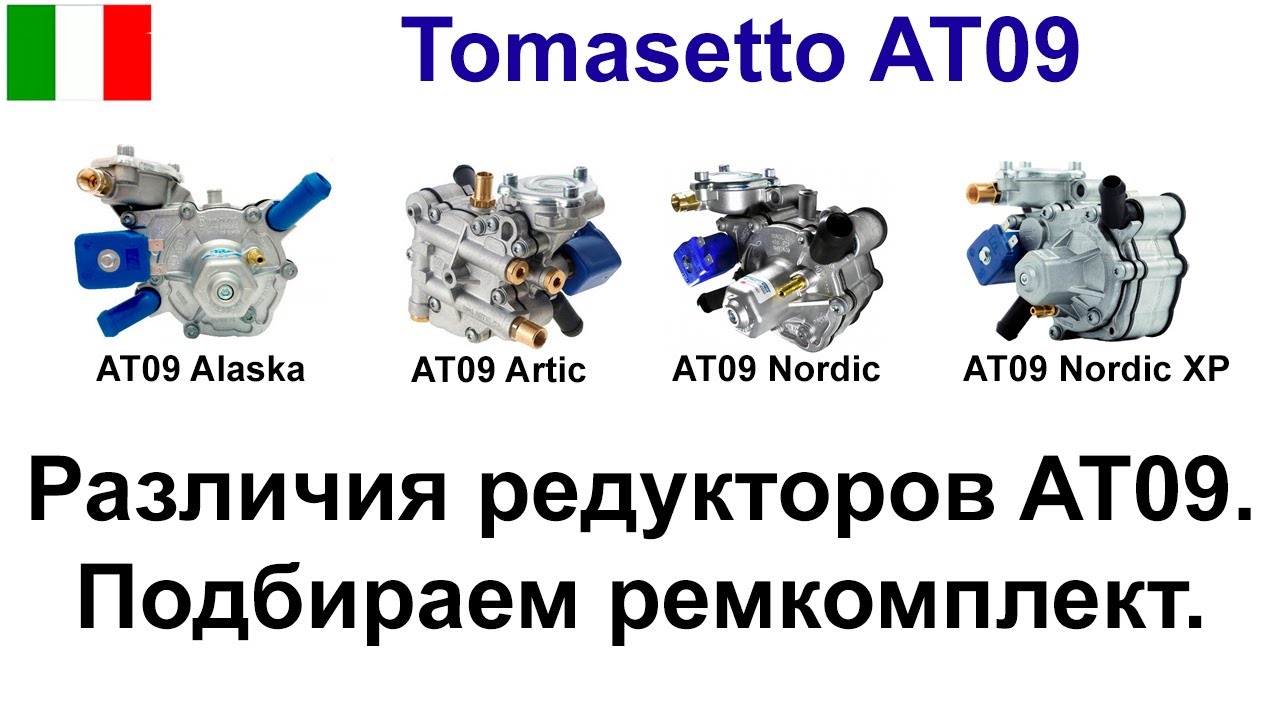 Ремкомплект редуктора AT09 (Tomasetto Alaska (Super), Nordic, Artic, Nordiс XP