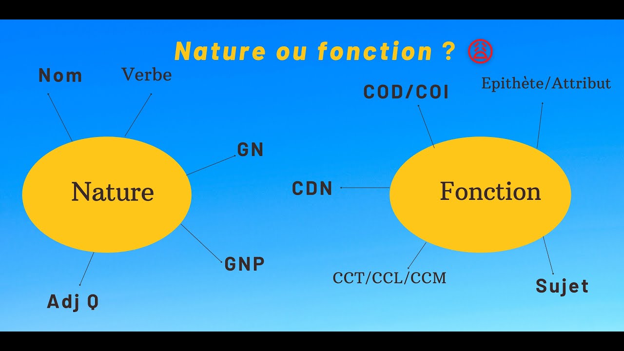 nature et fonction des mots # classe grammaticale# grammaire#