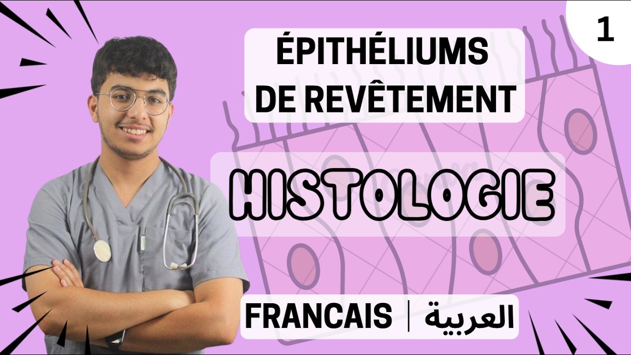 Histologie: Les épithéliums de revêtement - Français