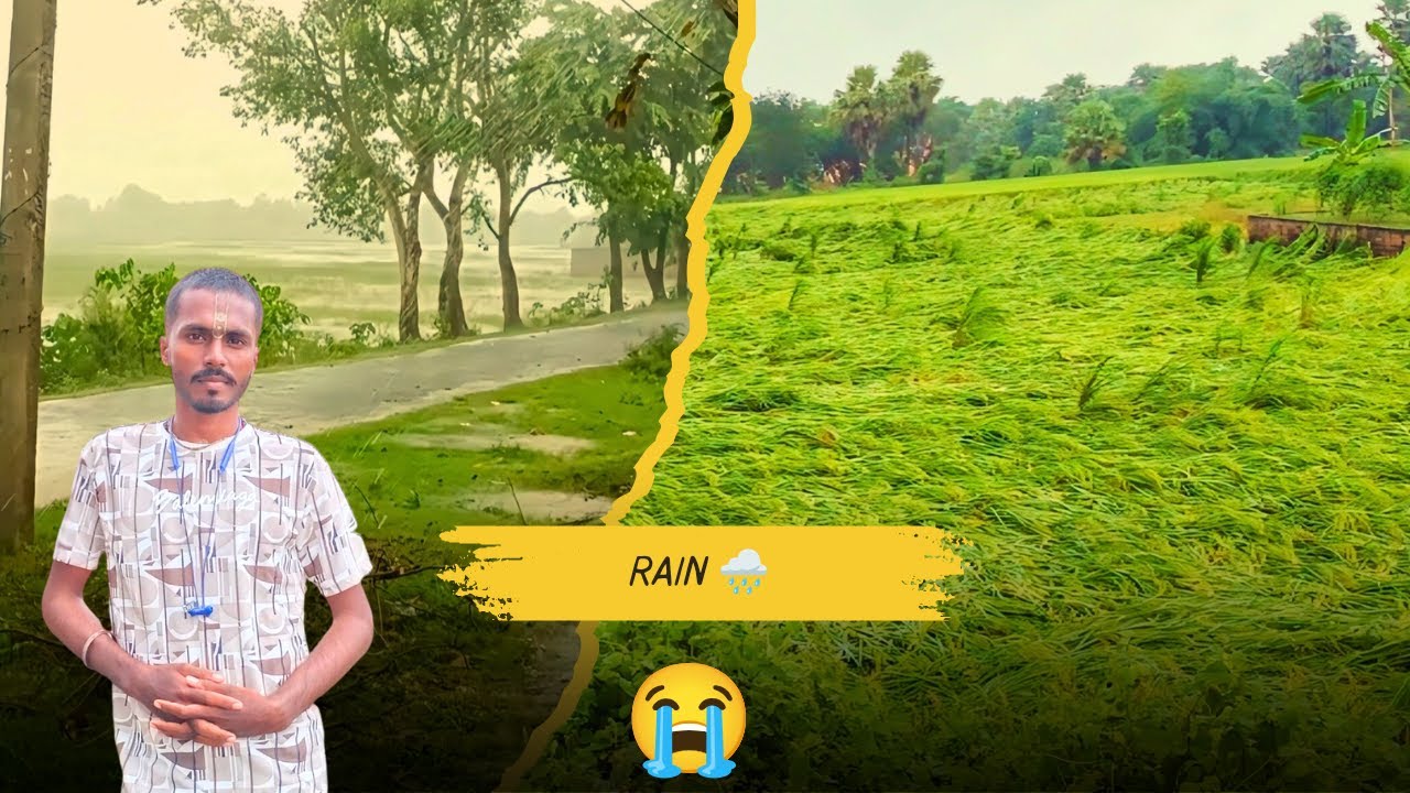 Aaj Barish Ne Record Tord Diyaa 🌧️ Lekin Fasal Ka Bhi Nuksan Huaa 😢