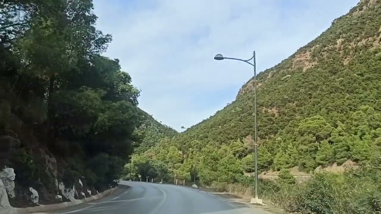 جولة نحو مدينة تنس الجميلة