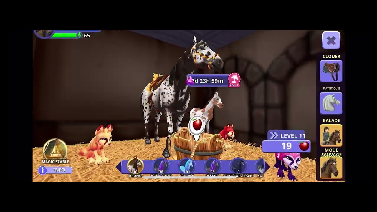 Chest day! Week 14! Plus breeding plus coin race!