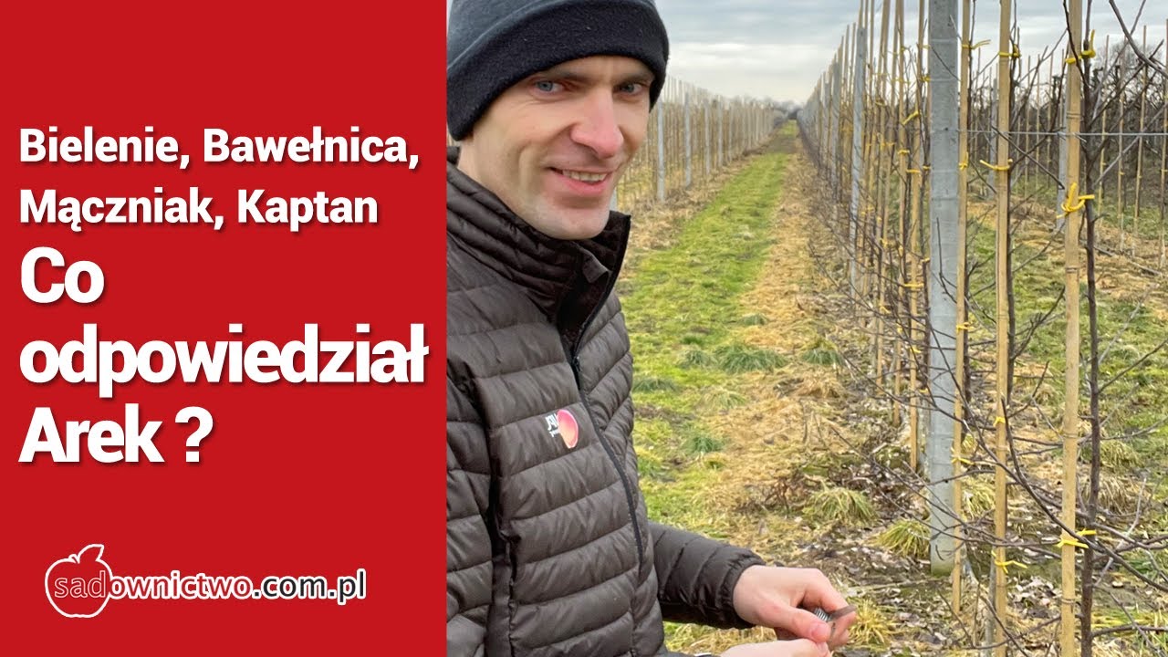 Bielenie, Bawełnica, Mączniak, Kaptan - Co odpowiedział Arek ?