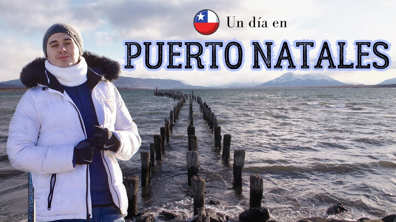 ¿Qué hacer en un día en PUERTO NATALES?   el primer paso hacia Torres del Paine : Chile #2