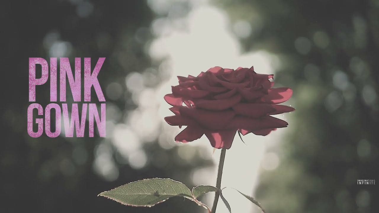 PINKGOWN - Don't tell me it will be alright (Official Lyric Video)
