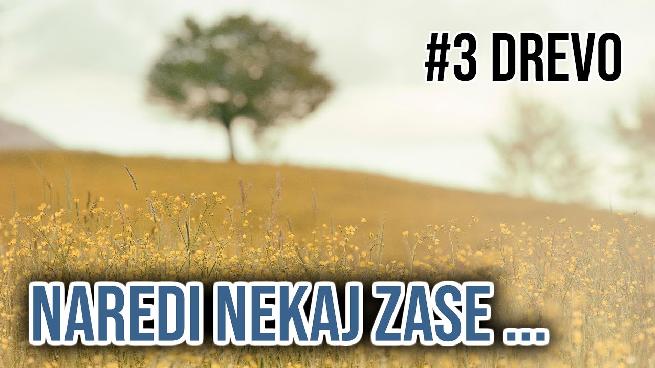 MEDITACIJA #3 Drevo