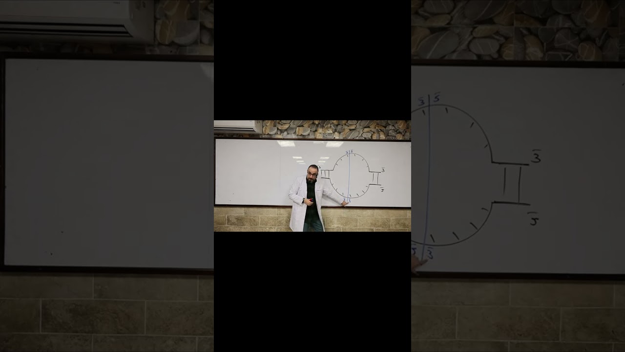 شوكه تضاعف DNA