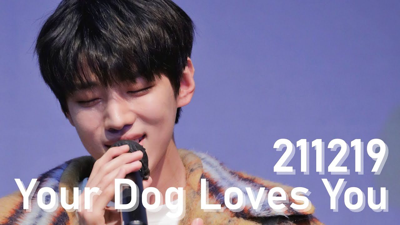 [4K] 211219 동키즈 뮤직 앤 드라마 팬사인회 재찬 직캠 | Your dog loves you (cover)