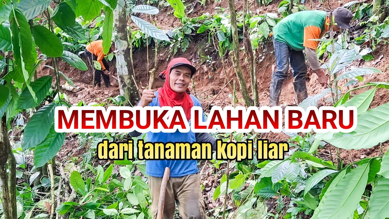 MEMBUKA LAHAN BARU