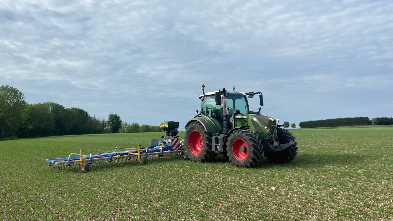 Passage de la herse étrille dans les lentilles bio 🌱 | Fendt 514 | Treffler ts 1220