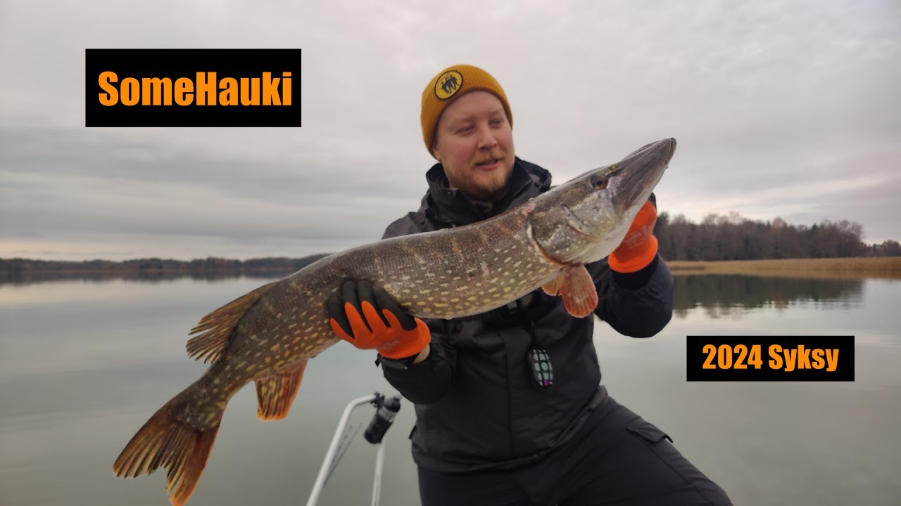 Somehauki 2024 Syksy - KalaMafia
