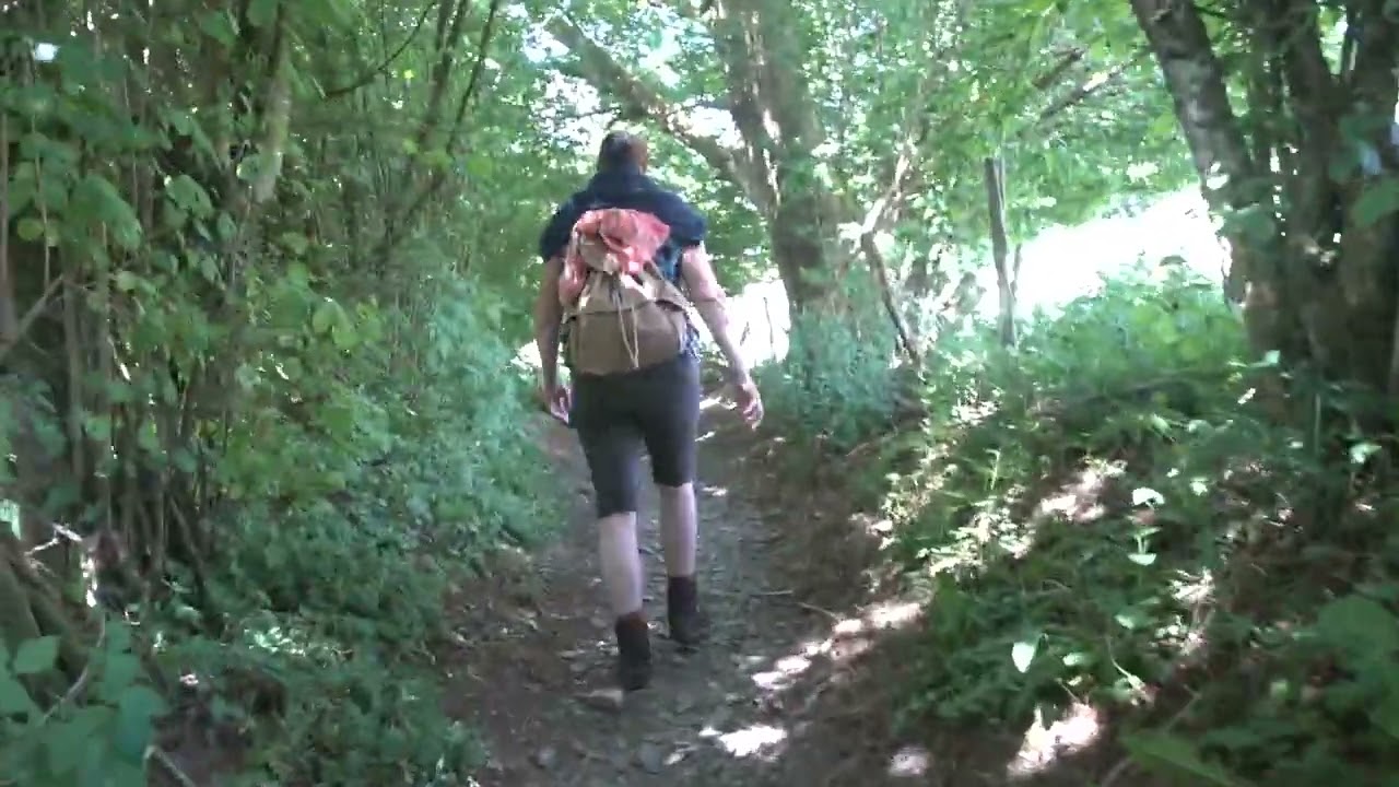 EEN WANDELING IN DE ARDENNEN .